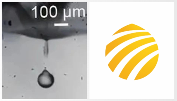 官宣 | LEWIN乐玩官方LOGO全「新」亮相！